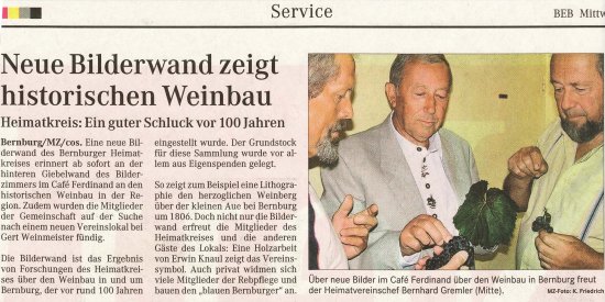 Pressebeitrag MZ